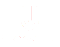 New Skywell